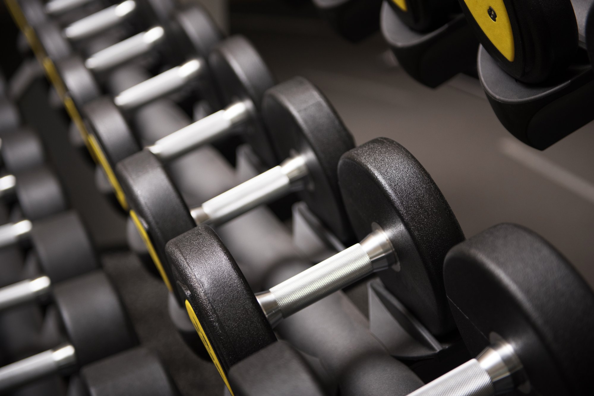 운동 프로그램 설계